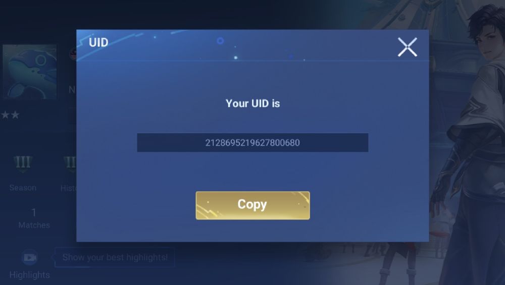 Honor of Kings UID Popup Screenshot